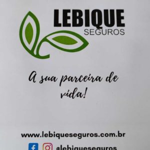 Maria Luiza - Lebique Consultoria e Corretagem de Seguros