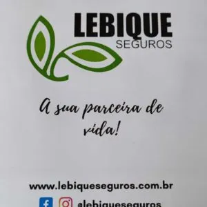 Maria Luiza - Lebique Consultoria e Corretagem de Seguros