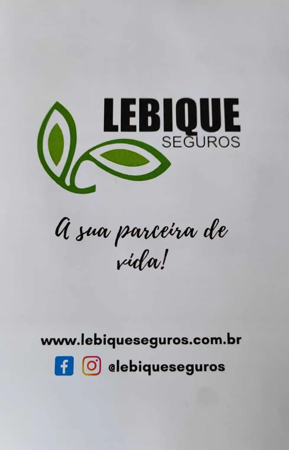 Maria Luiza - Lebique Consultoria e Corretagem de Seguros